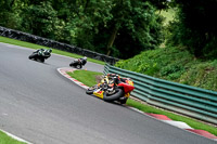 cadwell-no-limits-trackday;cadwell-park;cadwell-park-photographs;cadwell-trackday-photographs;enduro-digital-images;event-digital-images;eventdigitalimages;no-limits-trackdays;peter-wileman-photography;racing-digital-images;trackday-digital-images;trackday-photos